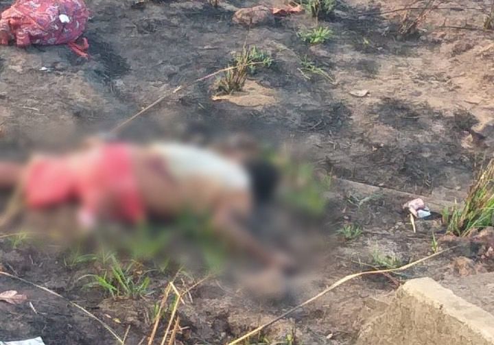Motociclista sai da pista, desce barranco e morre em queda na BR-401 Motociclista sai da pista, desce barranco e morre em queda na BR-401