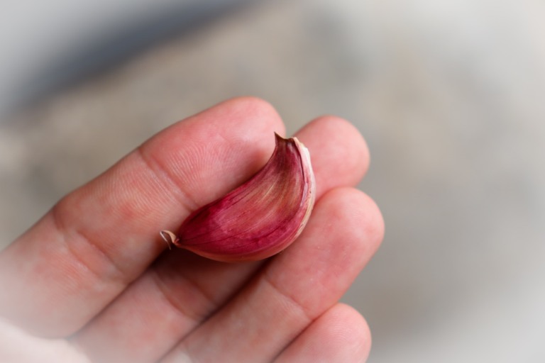 Ao incorporar esses alimentos em sua alimentação diária, você estará não apenas satisfazendo suas papilas gustativas, mas também fortalecendo ativamente seu sistema imunológico (Foto: Raisa Carvalho)