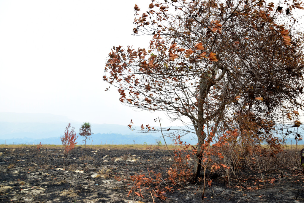 incêndios florestais em Tepequém