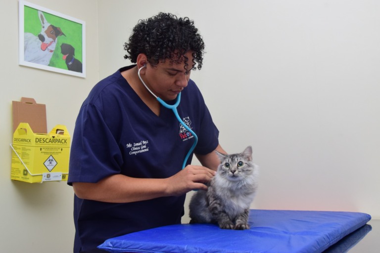 Ansiedade por separação é a principal causa de angústia nos pets (Foto: Nilzete Franco/FolhaBV)