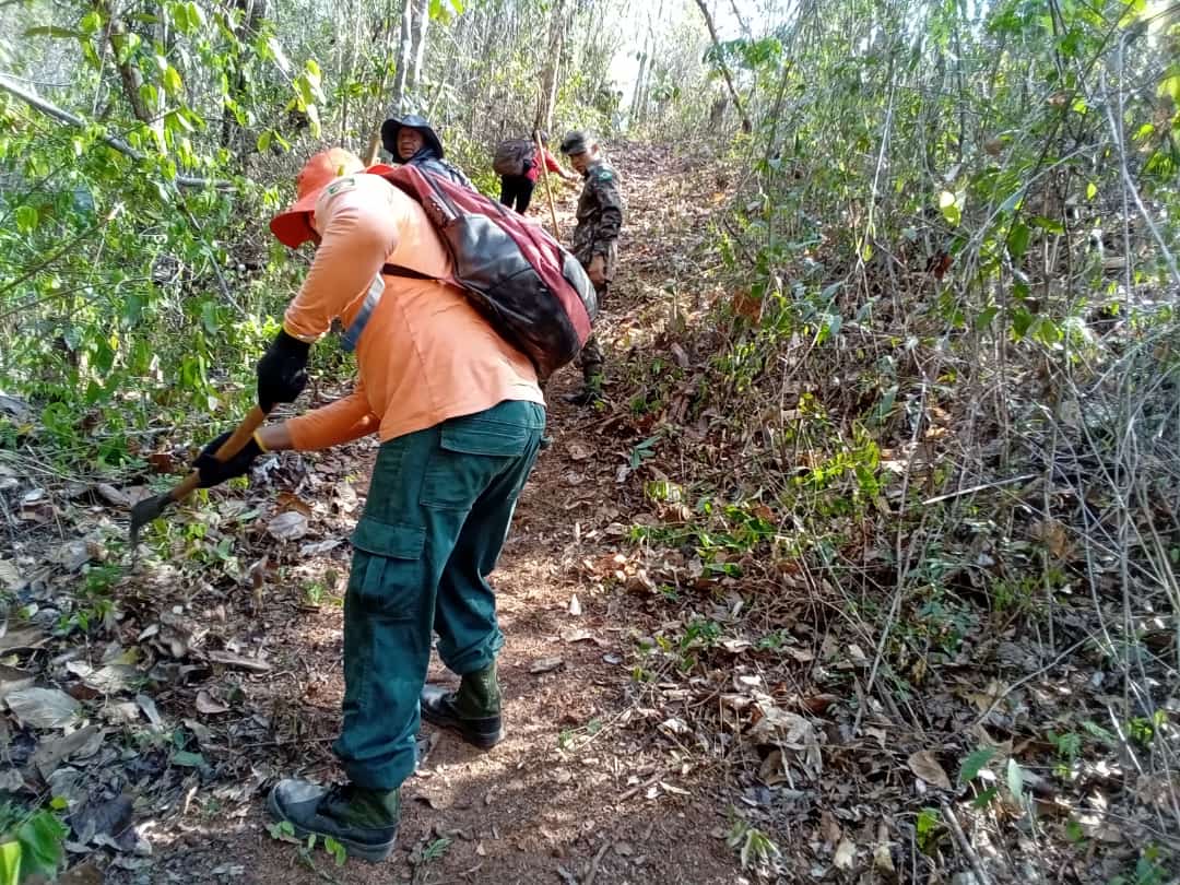 Brigadistas e voluntários indígenas conseguem apagar queimadas no Uiramutã (Fotos: Defesa Civil do Uiramutã)