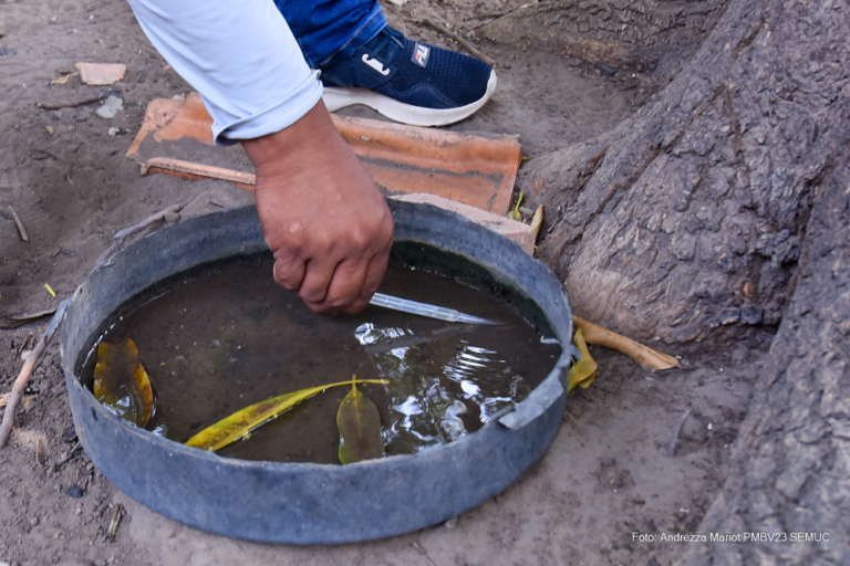 No levantamento realizado nos bairros de Boa Vista, foram pesquisados 8.559 imóveis, dos quais 70 apresentaram focos positivos para larvas do Aedes aegypti, com uma média de 0,8% (Foto: Ascom Semuc)