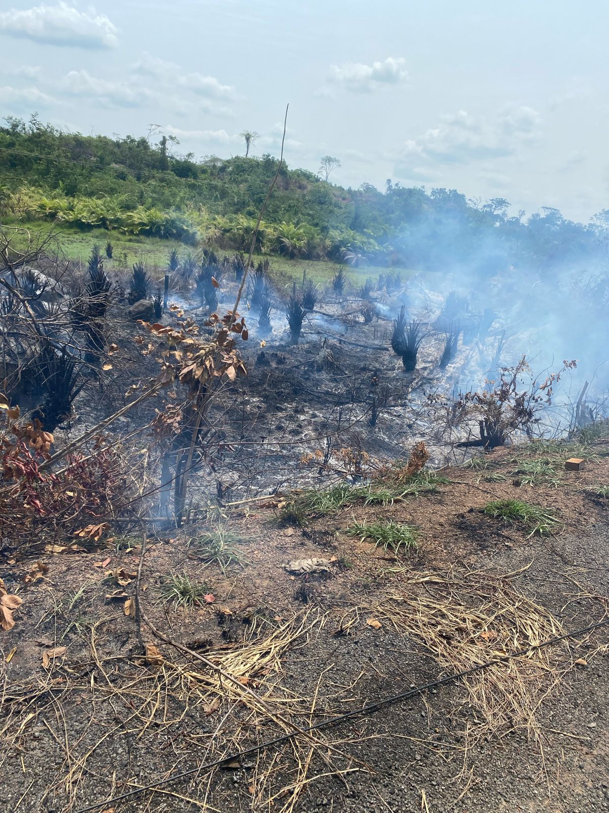 O crime ocorreu na tarde desta segunda-feira (25). (Foto: Divulgação)