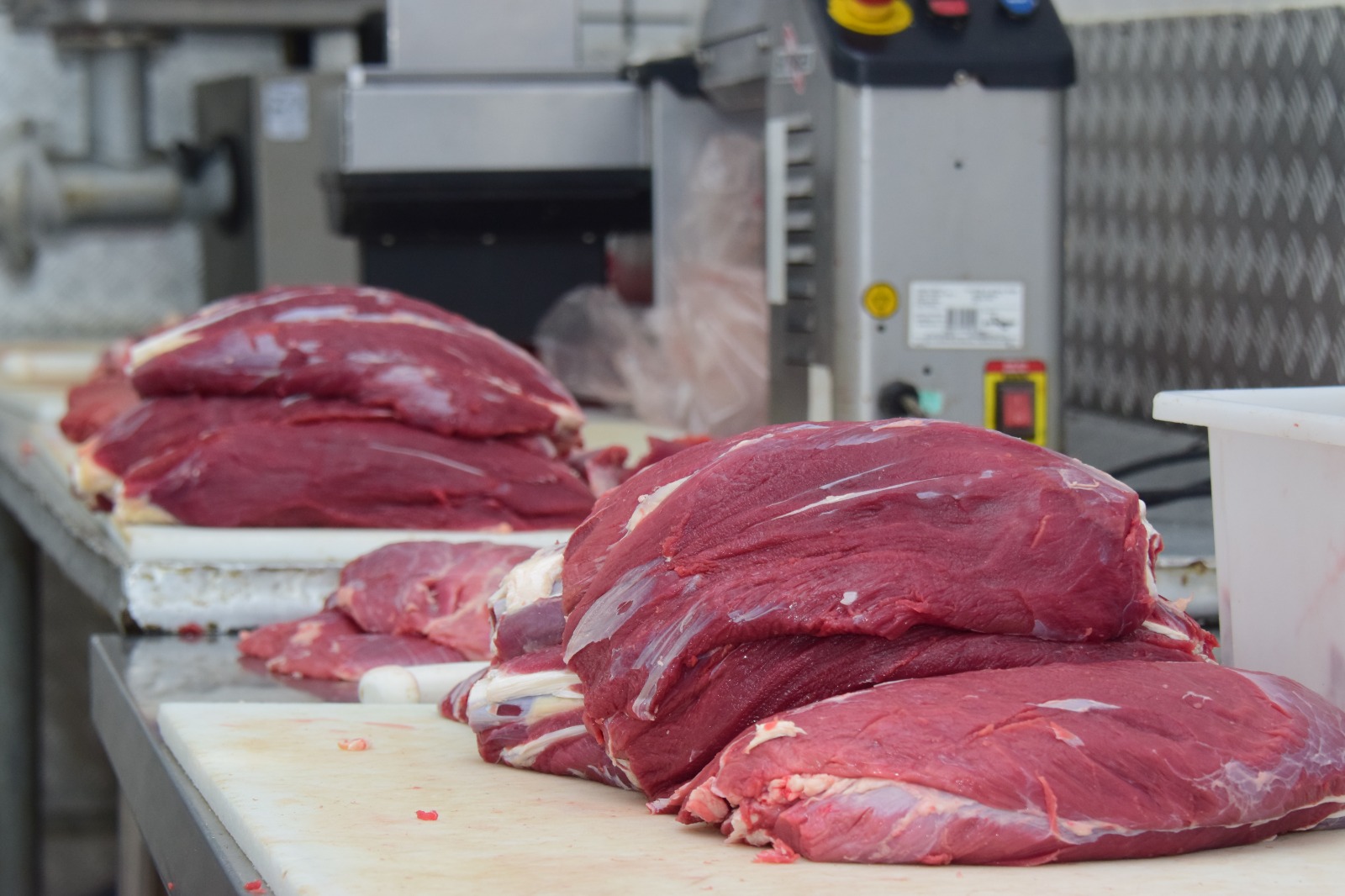 A carne vermelha é uma fonte rica de proteínas, mas seu alto teor de aminoácidos pode levar a um aumento na produção de amônia durante o processo de metabolismo (Foto: Nilzete Franco/FolhaBV)