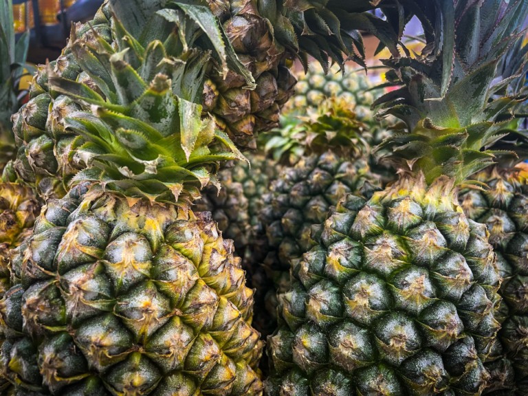 A bromelina não só auxilia no processo de digestão, mas também aumenta os efeitos de outras enzimas digestivas (Foto Raisa Carvalho)