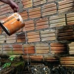 O Brasil registra 1,6 milhão de casos prováveis de dengue neste ano e 1,6 mil mortes, número 72% menor em comparação com 2024. (Foto: Paola Carvalho)