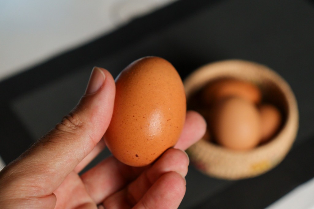 O consumo de ovos crus também pode ser problemático, considerando o risco de salmonella (Foto: Raisa Carvalho) O consumo de ovos crus também pode ser problemático, considerando o risco de salmonella (Foto: Raisa Carvalho)
