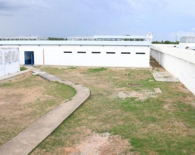 Os animais teriam morrido após terem sido trancados dentro de um container de lixo exposto ao sol (Foto: Nilzete Franco/FolhaBV)


