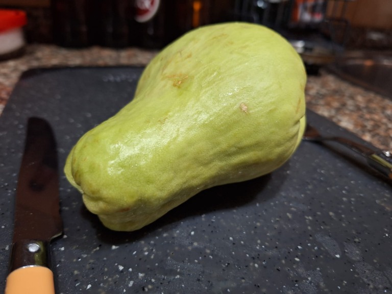
Uma das melhores coisas sobre o chuchu é sua versatilidade culinária (Foto: Divulgação)