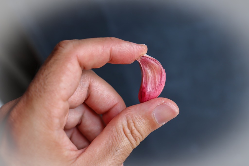 Além de saudável para o consumo, o alho pode ser um aliado para o jardim (Foto: Raisa Carvalho)