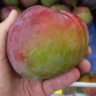 Com a revogação do decreto, a expectativa é que supermercados do estado passem a contar com maior oferta de frutas e hortaliças. Foto: Raisa Carvalho/FolhaBV