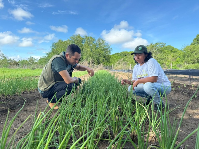 As vagas são destinadas a profissionais com nível técnico e superior em áreas como agropecuária, agrícola, fruticultura, agronomia, engenharia agrícola, entre outras. (Foto: Divulgação)
