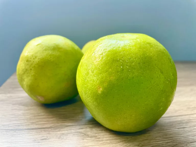 O suco de limão ajuda a eliminar resíduos e toxinas do corpo e auxilia na produção de bile no fígado, essencial para a digestão (Foto: Raisa Carvalho)
