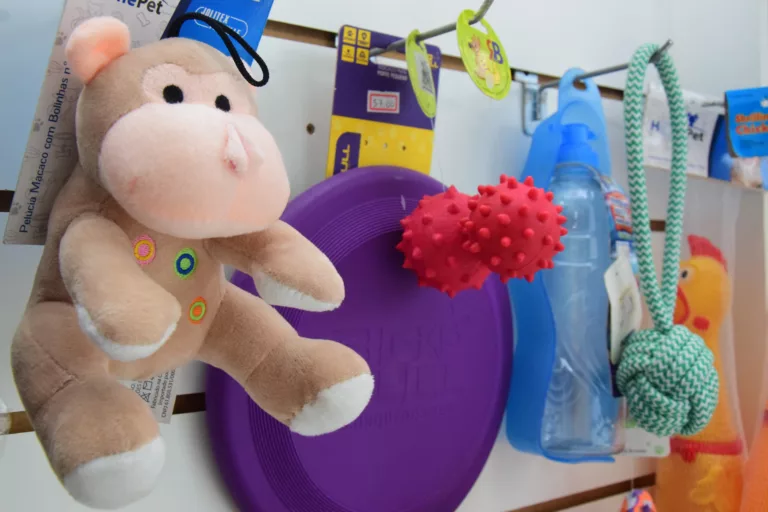 Brinquedos devem atender as necessidades de cada bichinho (Foto: Nilzete Franco/FolhaBV)