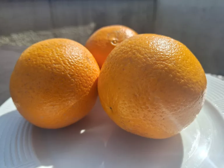 A laranja é um otimo alimento cheio de benefícios e vitaminas, mas o que fazer com as cascas?  (Foto: Divulgação)