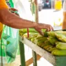Equipe do Procon realizou fez levantamento de preços da saca do milho em feiras e mercados da capital. (Foto:  Nonato Sousa/SupCom ALE-RR)