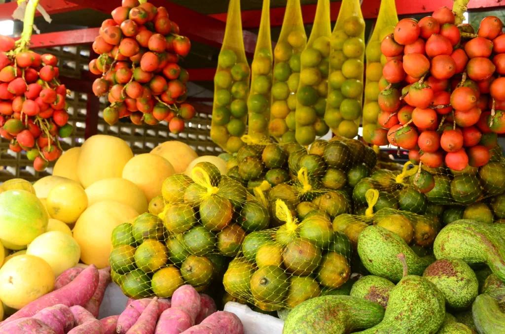 Cadê o AGRO? Qual a importância da fruticultura para Roraima?