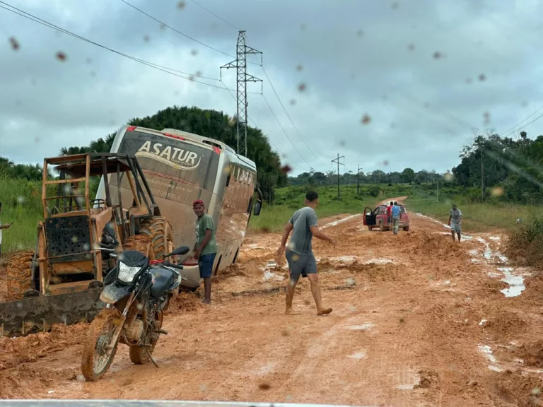 Ônibus teve que ser retirado por um trator (Foto: Divulgação)