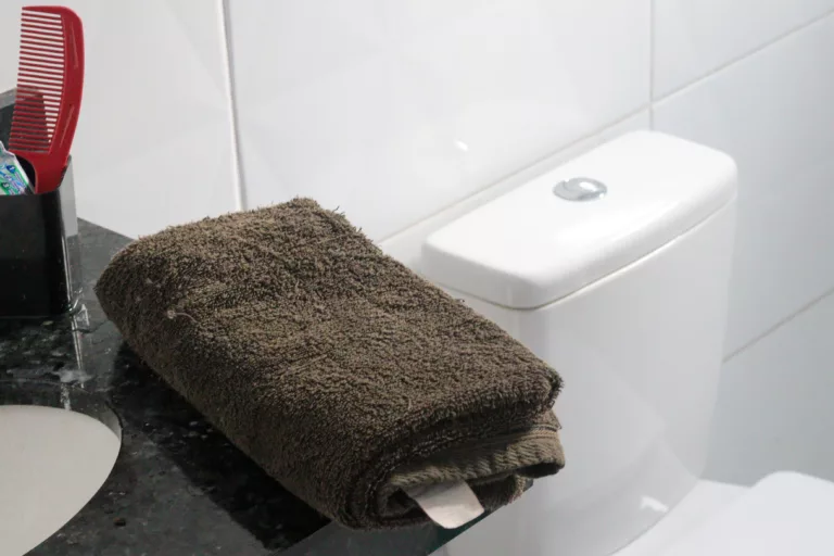 Seguindo esses passos, você garantirá que seu banheiro esteja sempre limpo e higienizado, proporcionando um ambiente saudável para sua casa (Foto: Divulgação)