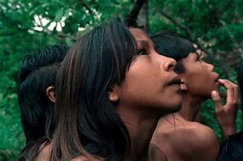 O filme "A Flor do Buriti" foi premiado na França