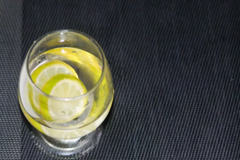 um limão cortado pode durar de 3 a 4 dias na geladeira sem perder significativamente sua qualidade (Foto: Raisa Carvalho)
