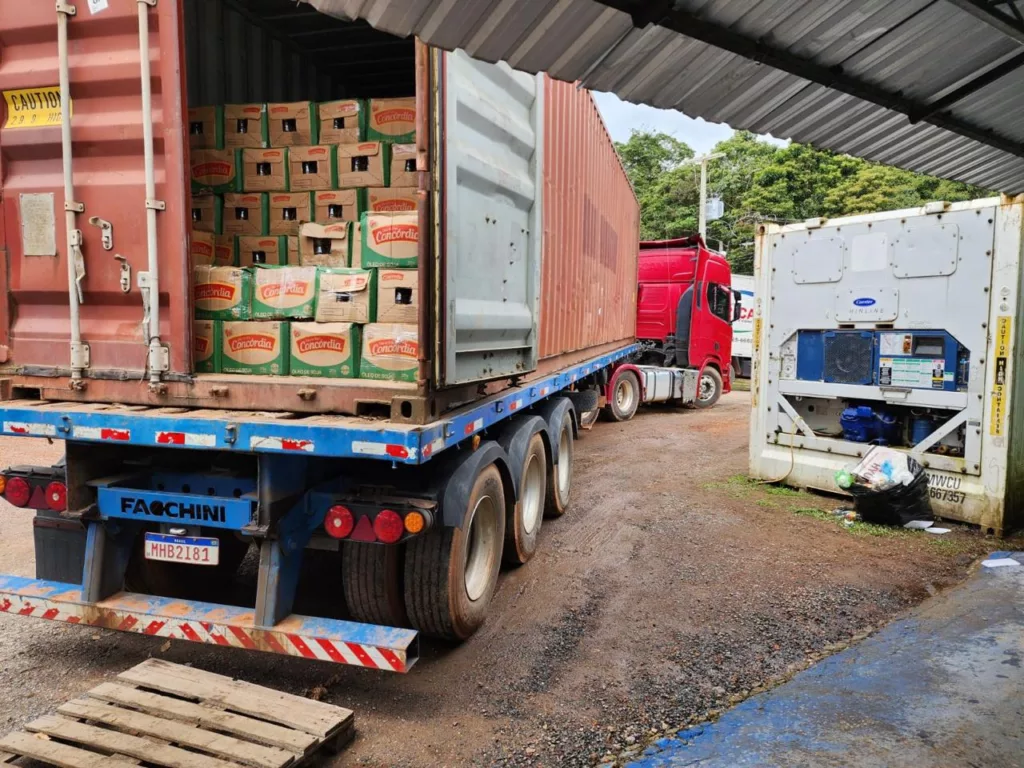 Veículos e mercadorias foram apreendidas durante a ação — Foto: Divulgação