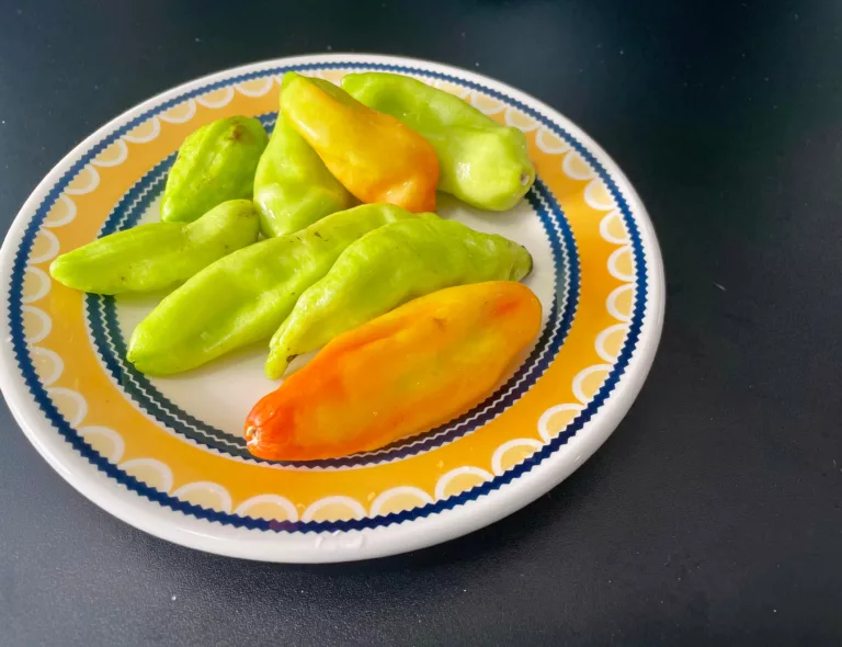 Pimenta-de-cheiro tem diversos benefícios para a saúde (Foto: Raisa Carvalho)