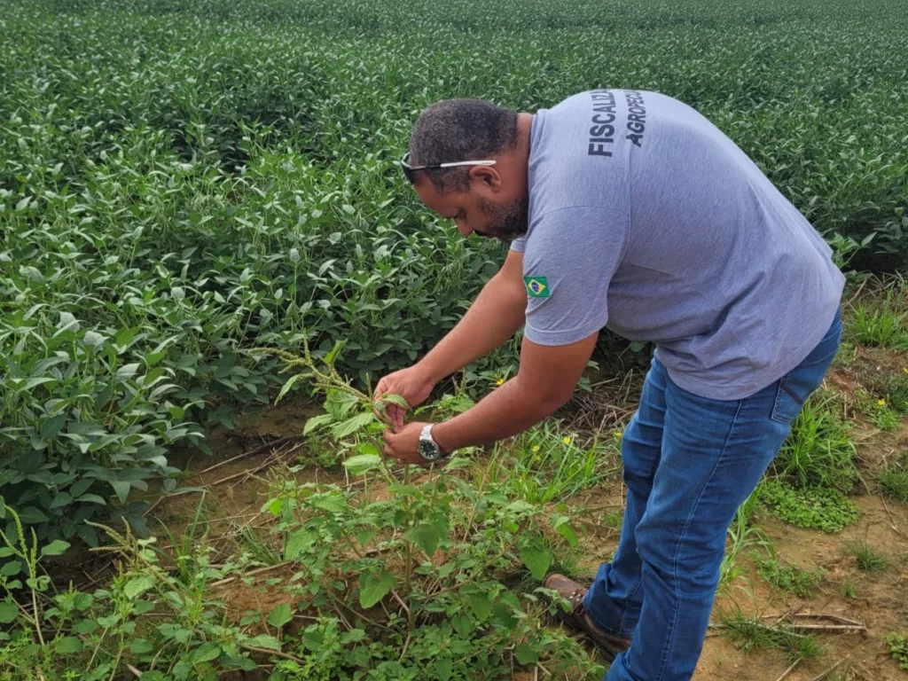 O trabalho é realizado pela Agência de Defesa Agropecuária de Roraima em Boa Vista, Amajari, Bonfim, Alto Alegre, Mucajaí, Iracema, Caracaraí e Cantá até o dia 26 deste mês. (Foto: reprodução/Aderr)