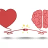 Não confunda o amor