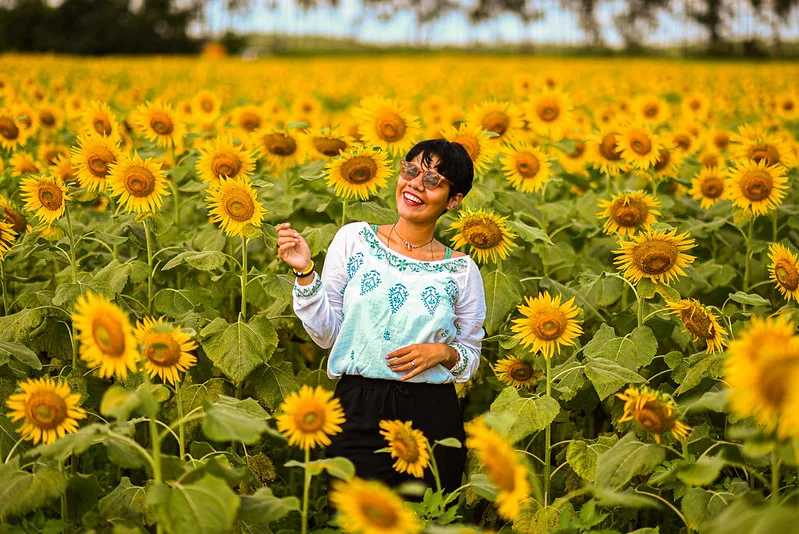 O campo de girassóis é uma atração à parte por ser um espaço instagramável onde as pessoas aproveitam para tirar fotos, fazer vídeos e books e registrar em suas redes sociais. (Foto: Ascom/Semuc)