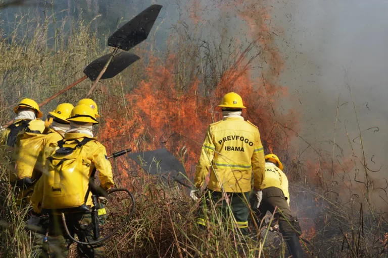 Governo Federal autoriza contratação de mais de 150 brigadistas para atuar em Roraima