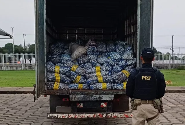 Caminhão Baú transportava 450 sacos de alho (Foto: Ascom/PRF)