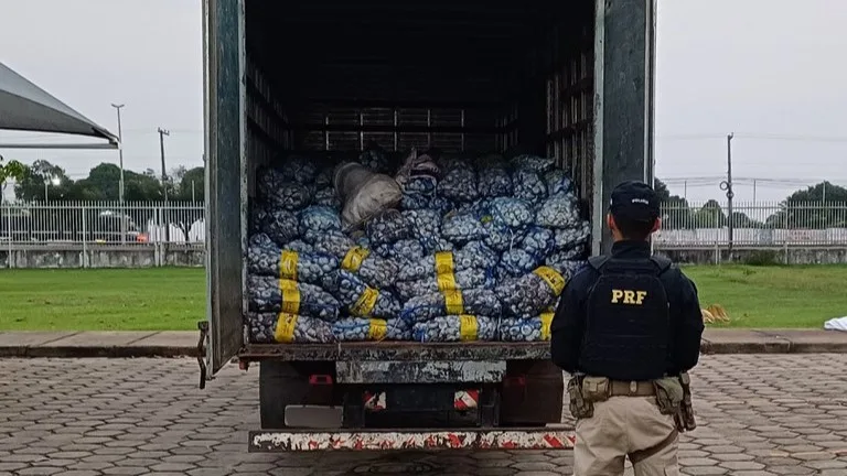 Caminhão Baú transportava 450 sacos de alho (Foto: Ascom/PRF)