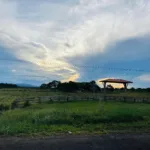 (Foto: Adriele Lima/FolhaBV)