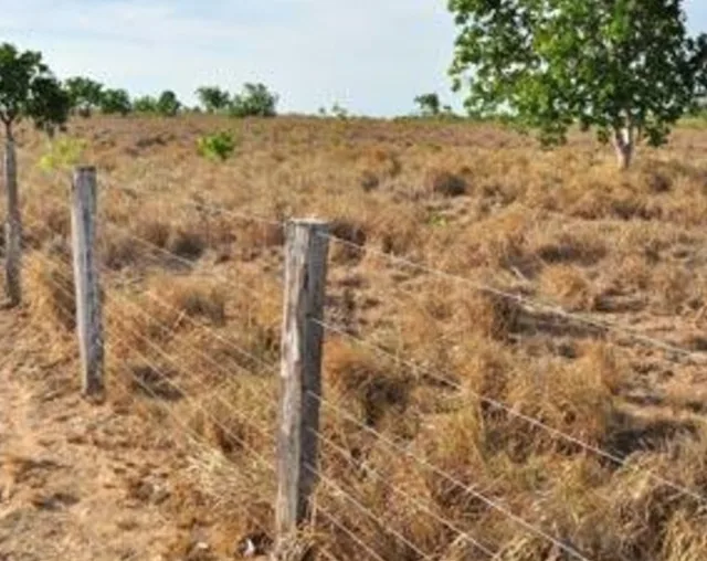 Os assentamentos abrangidos pela convocação estão situados nos municípios de Alto Alegre, Amajari, Boa Vista, Cantá, Caracaraí, Iracema, Mucajaí, Rorainópolis e São João da Baliza.