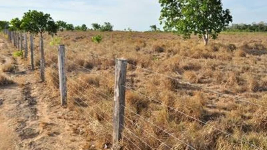 Os assentamentos abrangidos pela convocação estão situados nos municípios de Alto Alegre, Amajari, Boa Vista, Cantá, Caracaraí, Iracema, Mucajaí, Rorainópolis e São João da Baliza.