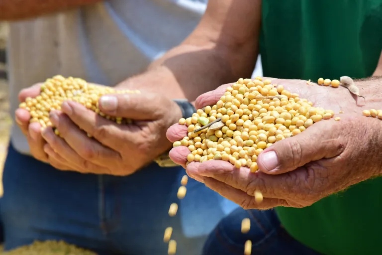 Gargalos e desafios da indústria de alimentos no Estado de Roraima