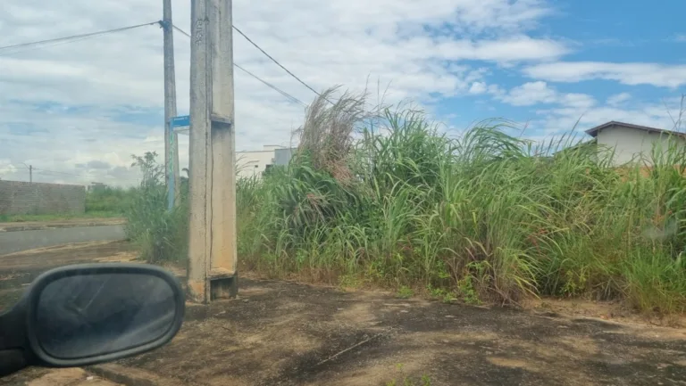 Moradores relataram falta de limpeza. (Foto: reprodução)