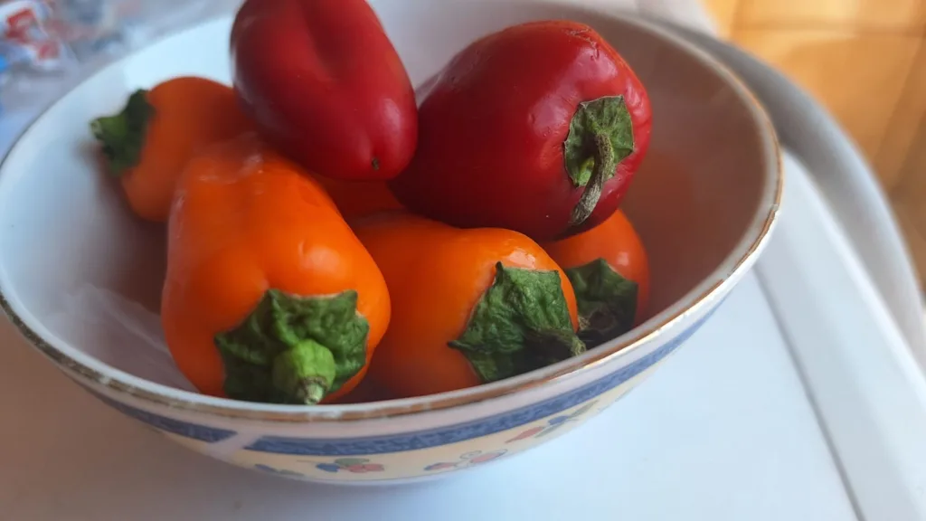 Pimentão vermelho é rico e nutrientes e possui baixa caloria (Foto: Raisa Carvalho)