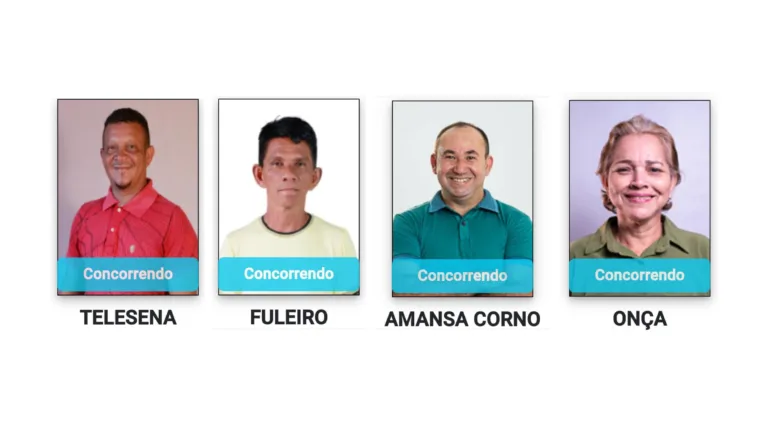 Alguns candidatos com o nome inusitado (Foto: Divulgação) 