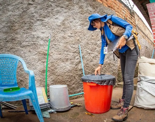 Os principais criadouros identificados incluem pingadeiras de ar condicionado, vasos de plantas, pneus e recipientes plásticos. (Foto: Divulgação)