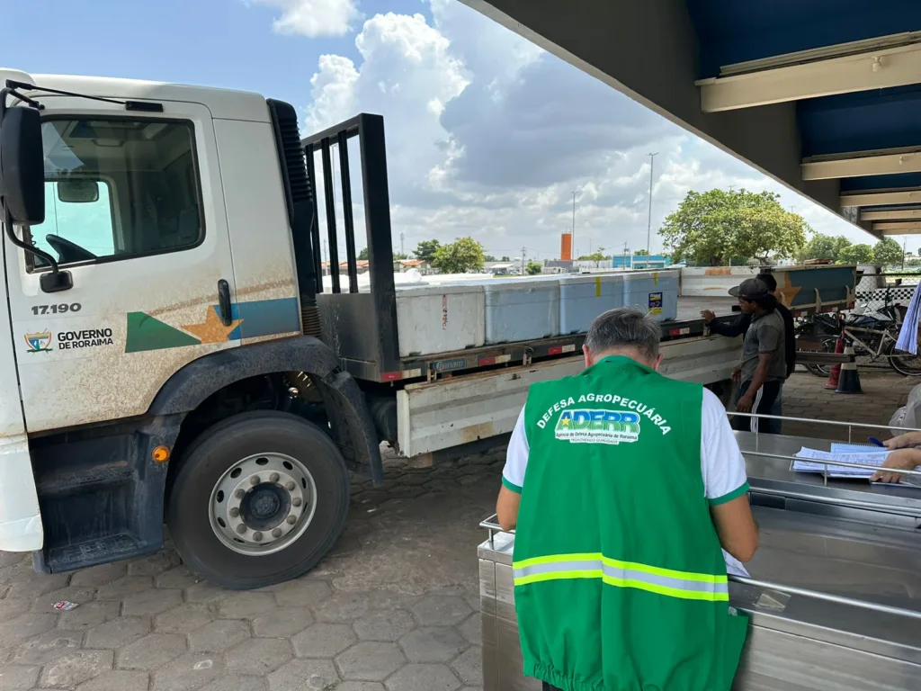 Entre os itens apreendidos, estavam 600 kg de camarão (Foto: Divulgação)