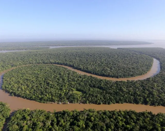 Estudo indica que ações humanas causam perda de carbono na Amazônia; Entenda