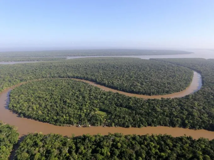 Estudo indica que ações humanas causam perda de carbono na Amazônia; Entenda