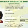 Modelo da Carteira de Identidade Nacional (Foto: Reprodução/Agência EBC)