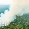 Incêndio florestal (Foto: Casa Civil)