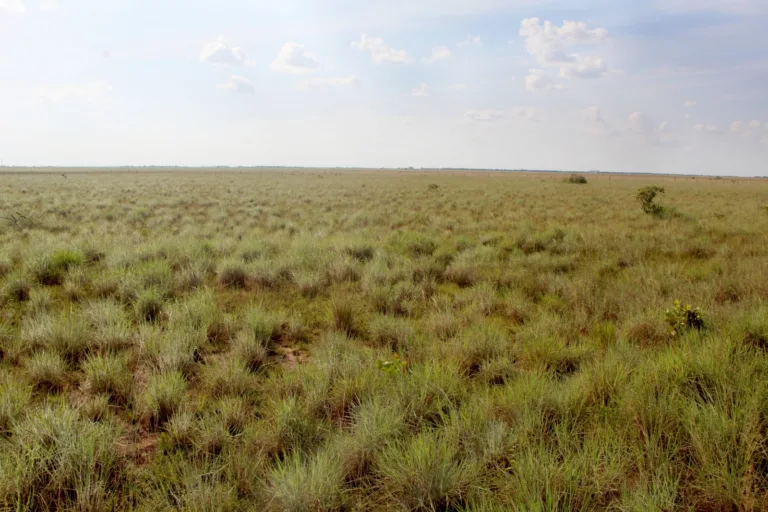 Agropecuaristas de Roraima e a Importância da preservação de áreas protegidas