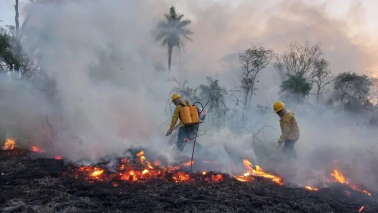 Brasil pegando fogo; salve-se quem puder