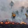 Ibama notifica 3 mil fazendas, incluindo de figuras públicas, por causa de incêndios