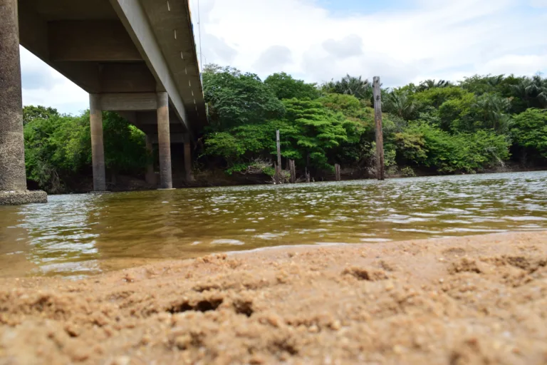 Corpo foi encontrado a 2km da ponte sobre o rio cauamé (Foto: Nilzete Franco/FolhaBV)